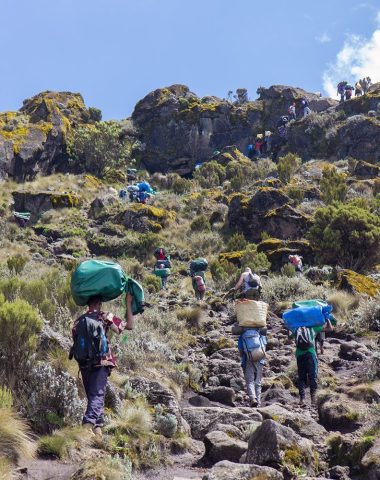 Track on Kilimanjaro on the Machame Route Whiskey, 2 day