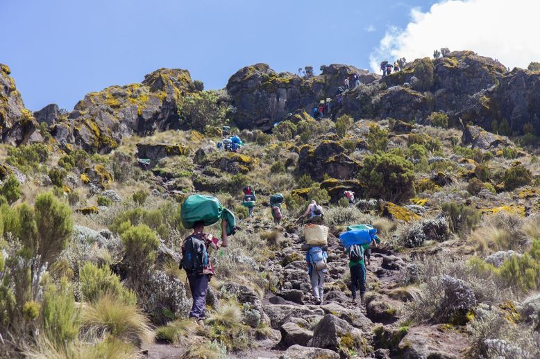 Track on Kilimanjaro on the Machame Route Whiskey, 2 day